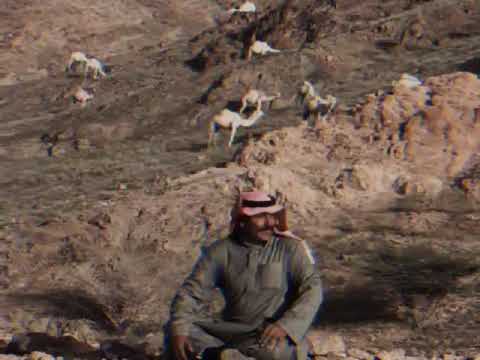 الفنان الكبير سعيد ابومعيتق تمنيت الصبا والي فات يرجع نادره