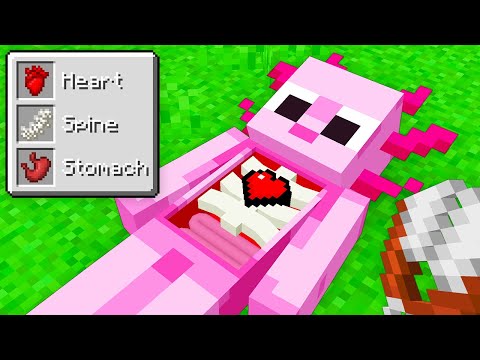 I Fooled My Friend By Stealing BONES In Minecraft