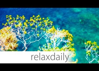  Instrumental Music Calm Smooth Inspiring N 004 4K