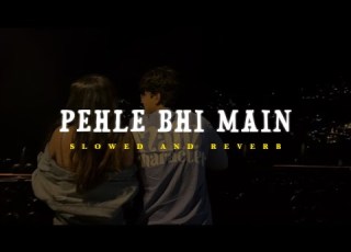 Pehle Bhi Main Animal Vishal Mishra Slowed Reverb Lofi Version