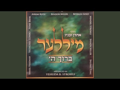 Nigun Feat Avraham Shlomo Miller