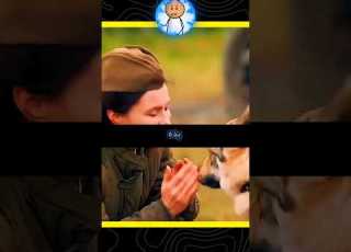 هیچکس به این سگ امید نداشت اما اون توی جنگ همه رو انگشت به دهن کرد ببین آخرش چی میشه