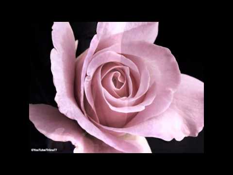 Mantovani Orchestra Lonely Ballerina