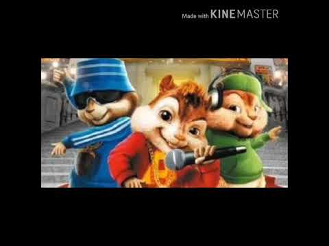 مهرجان عود البطل حسن شاكوش بصوت السناجب حسن شاكوش عمر كمال