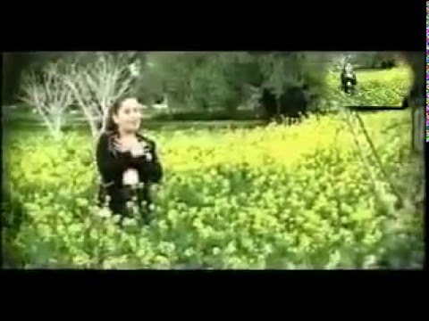 طيور الجنة فداك أبي وأمي