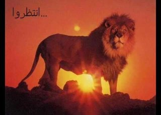  Masha3er Masria علاء عبدالخالق مشاعر مصرية