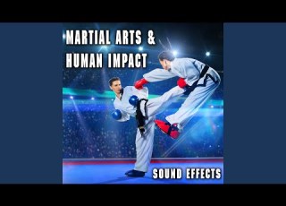 Six Kick Block And Punch Combos