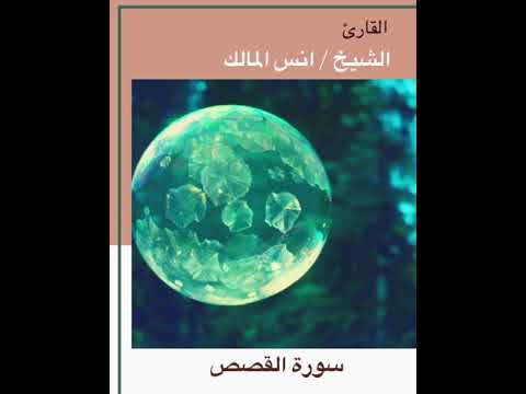 القارئ الشيخ انس المالك سورة القصص