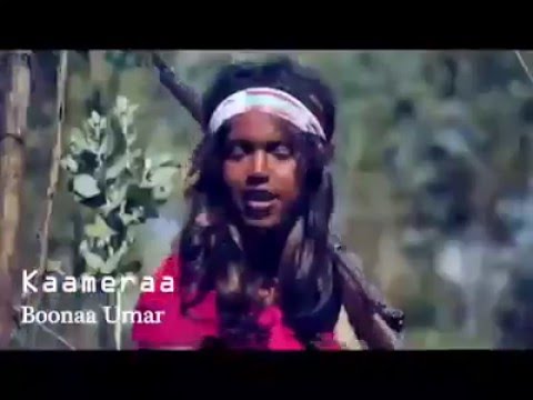 Mulu Baqqalaa Ebla 2016