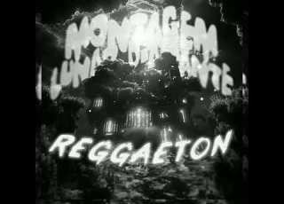 Montagem Lunar Diamante X Reggaeton Ultra Slowed
