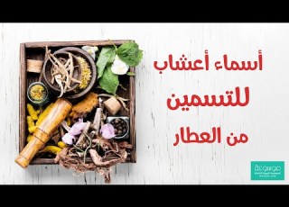 أسرع وصفة أعشاب للتسمين وزيادة الوزن وعلاج النحافة من العطار