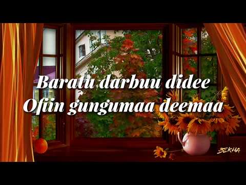 HACAALUU HUNDEESSAA TOKKUMMAA Lyrics