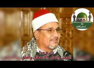 رائعة ونادرة الحجر والنحل والانشقاق والعلق للشيخ محمد عبد الوهاب الطنطاوي رحمه الله Tamerkhedr1982