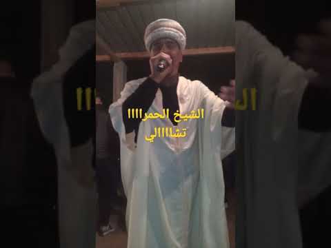 اغنية الشاوية يوما يوما معنديش المال وزوجتيني الشيخ الحمرا تشالي