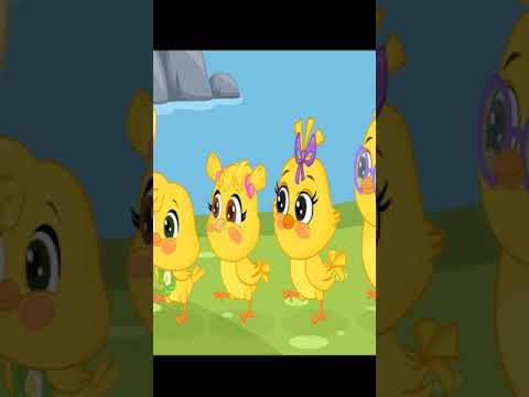 كتاكيت انا الفرخة ةاحنا الكتاكيت