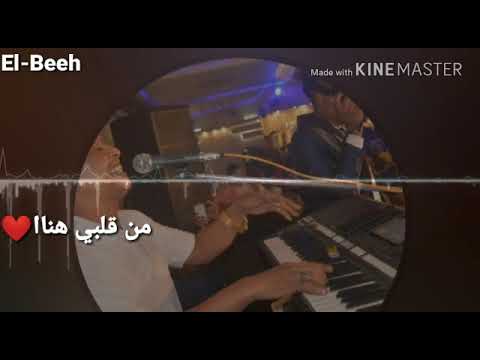 حالات واتس ابو زيزو