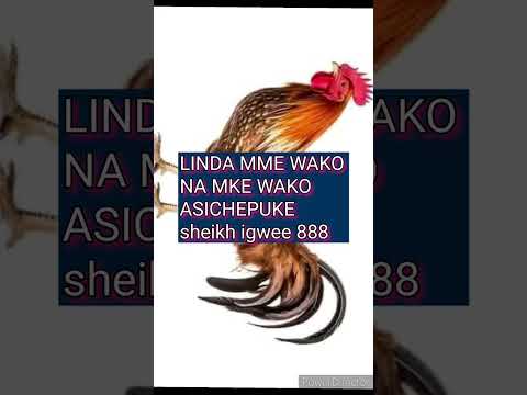 MKOMESHE MME NA MKE WANAO CHEPUKA Sheikh Igwee 888 255766233308 Wtsp