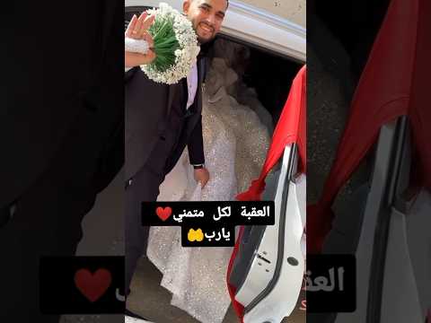 الليلة عرسنا يا عمري