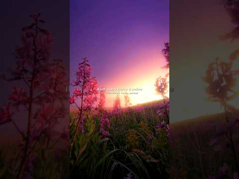 Indila Love Story English Lyrics Aesthetic Edit Indila Lovestory