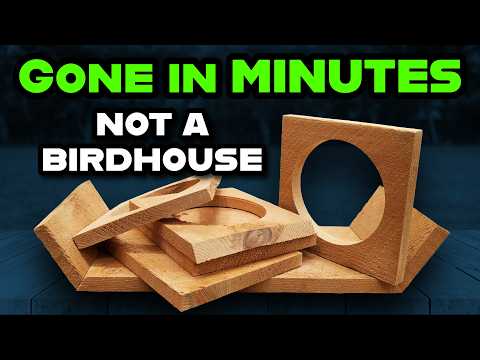 EASY 100 Using Beginner Tools And Cheap Lumber