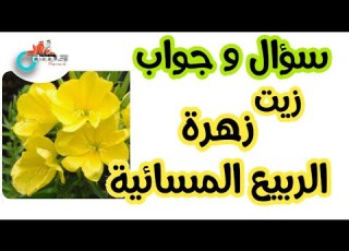 Evening Primrose زهرة الربيع المسائية الزيت السحري للسيدات مشاكل وعيوب ومخاطر الزيت
