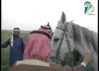 مقطع نادر رحلة برية خاصة للملك فهد