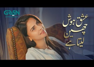 Ishq Hosh Cheen Leta Hai Best Moment Pagal Khana Saba Qamar Green TV