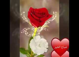 هد صورة من نوع خاص تفرج الهم وتشرح 