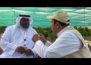  احمد العرفج في مزرعة بن في نجران