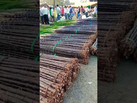 Ganna Bikri Ke Liye Taiyar Hi