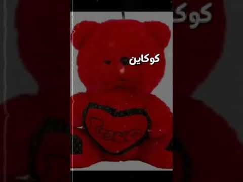 فدوة شوفم هذا الدبدوب الأحمر يغني لو قلب ثاني لسيف نبيل