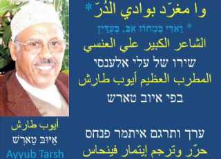  איוב טארש וא מג רד בוואדי א דר وا مغرد أيوب طارش ITAMARPINHAS