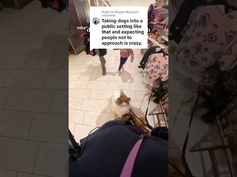 ليس من المبالغة أن نطلب من الناس أن يضبطوا أنفسهم فيروسي كلاب الخدمة