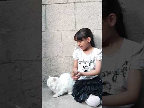 ذهب الليل طلع الفجر والعصفور صوصو