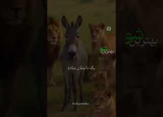  ۲۸ اکتبر ۲۰۲۵