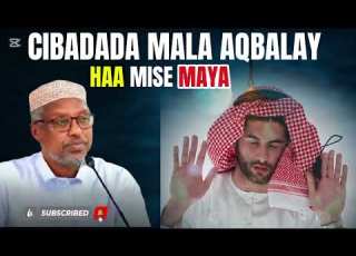 Side Kuogan Karta In Ducada Lagaa Aqbalay Iyo Inkale Sh Mustafa Muaxadaro Qimo Badan