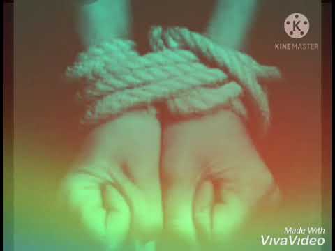 موسيقي عمر خيرت لعدم كفاية الادلة