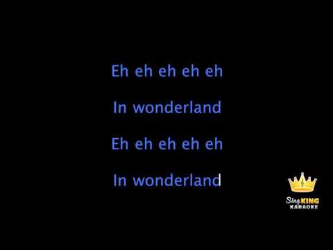 Taylor Swift Wonderland Karaoke Version