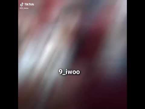 شواكر اللعبة الجزائر فلسطين كأس العرب