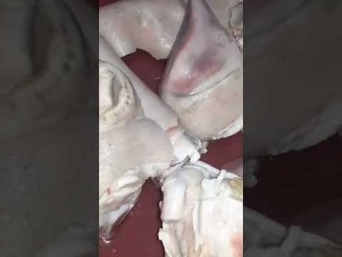 اسرع طريقه لتسويه الكوارع ف حلة الضغط لايك واشتراك ومشاهده