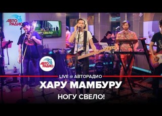 Ногу свело Хару Мамбуру LIVE Авторадио