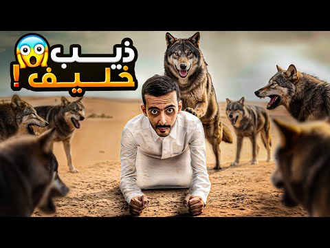 ذيب خليف وليد قصص