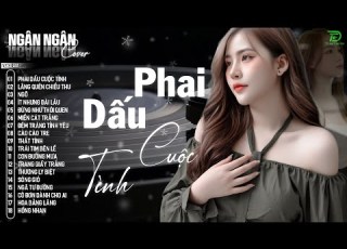  PHAI DẤU CUỘC TÌNH TÌNH ANH NGỠ NGÂN NGÂN COVER XUẤT XẮC NHẤT 2025 ALBUM BALLAD TOÀN BÀI HAY
