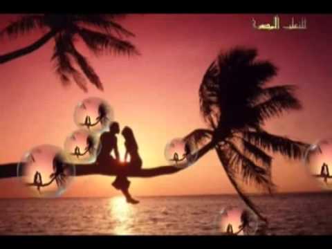 انتى و انا هاشم ميرغنى