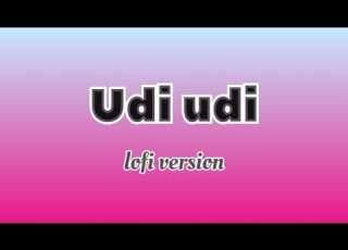 Udi Udi Jaaye Re Lofi Version Slowed Reverb Song Neetstudypkd