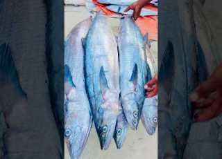 0619890200 What S Up