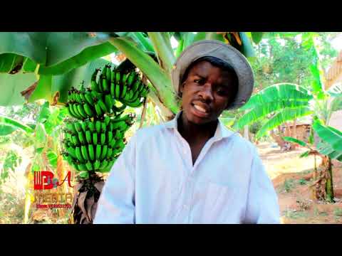 Shidonge Ng Wanalemi Ft Nyanda Masome Song Nkeone Nakachola 0756283298