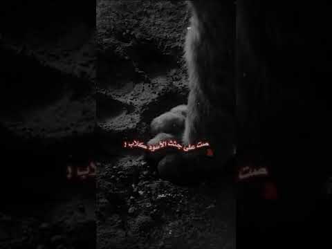 لا تأسفن على غدر الزمان تصميم احترافي