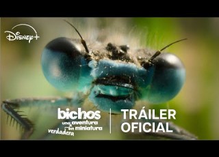  Bichos Una Verdadera Aventura En Miniatura Tráiler Oficial Disney