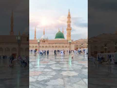 السماني أحمد عالم أنت